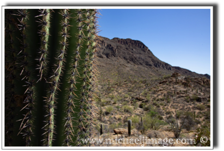 "cactus vista"
tucson mountain park - tucson